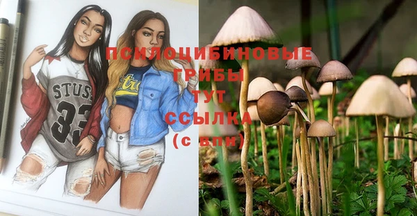 метамфетамин Киреевск