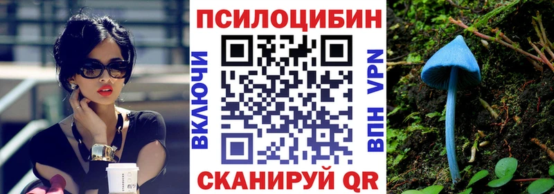 Галлюциногенные грибы MAGIC MUSHROOMS  кракен как войти  Ужур 