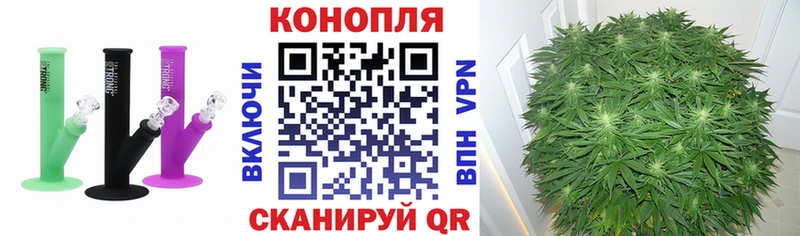 даркнет состав  Ужур  Марихуана гибрид  купить наркоту 